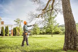 How Our Tree Care Process Works  in  Summit Hill, PA